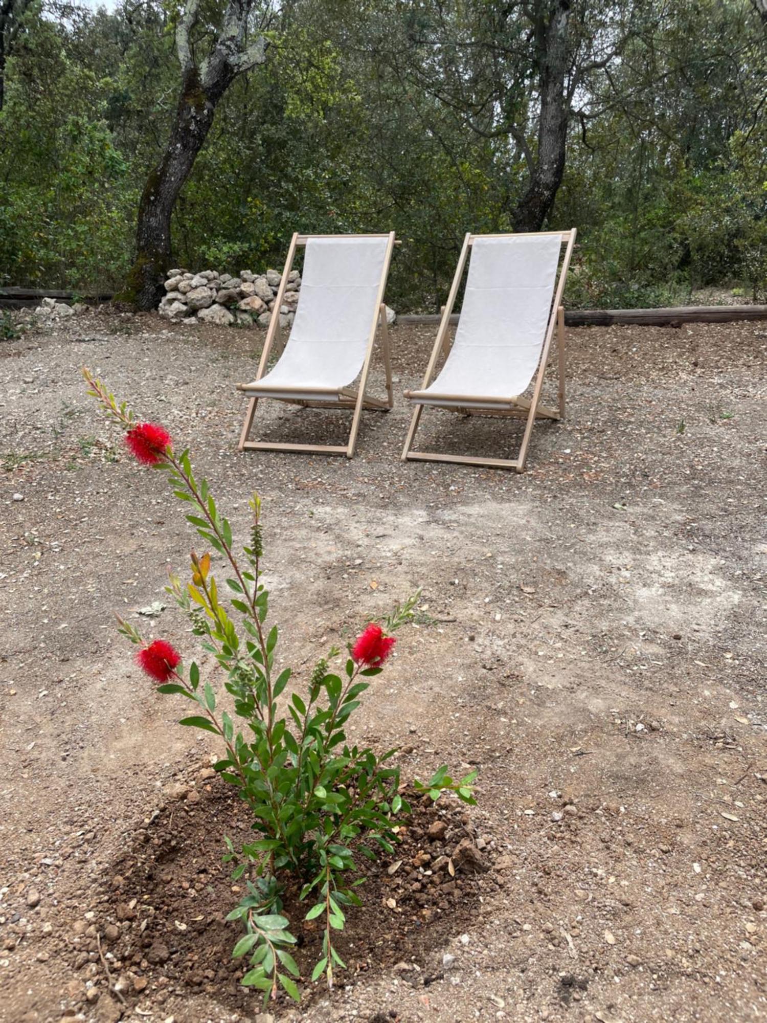 La Parenthese Du Var - Chambre D'Hotes Petits Dejeuners Inclus Et Terrasse Ombragee Saint-Antonin-du-Var Ngoại thất bức ảnh